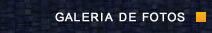 Galeria de Fotos